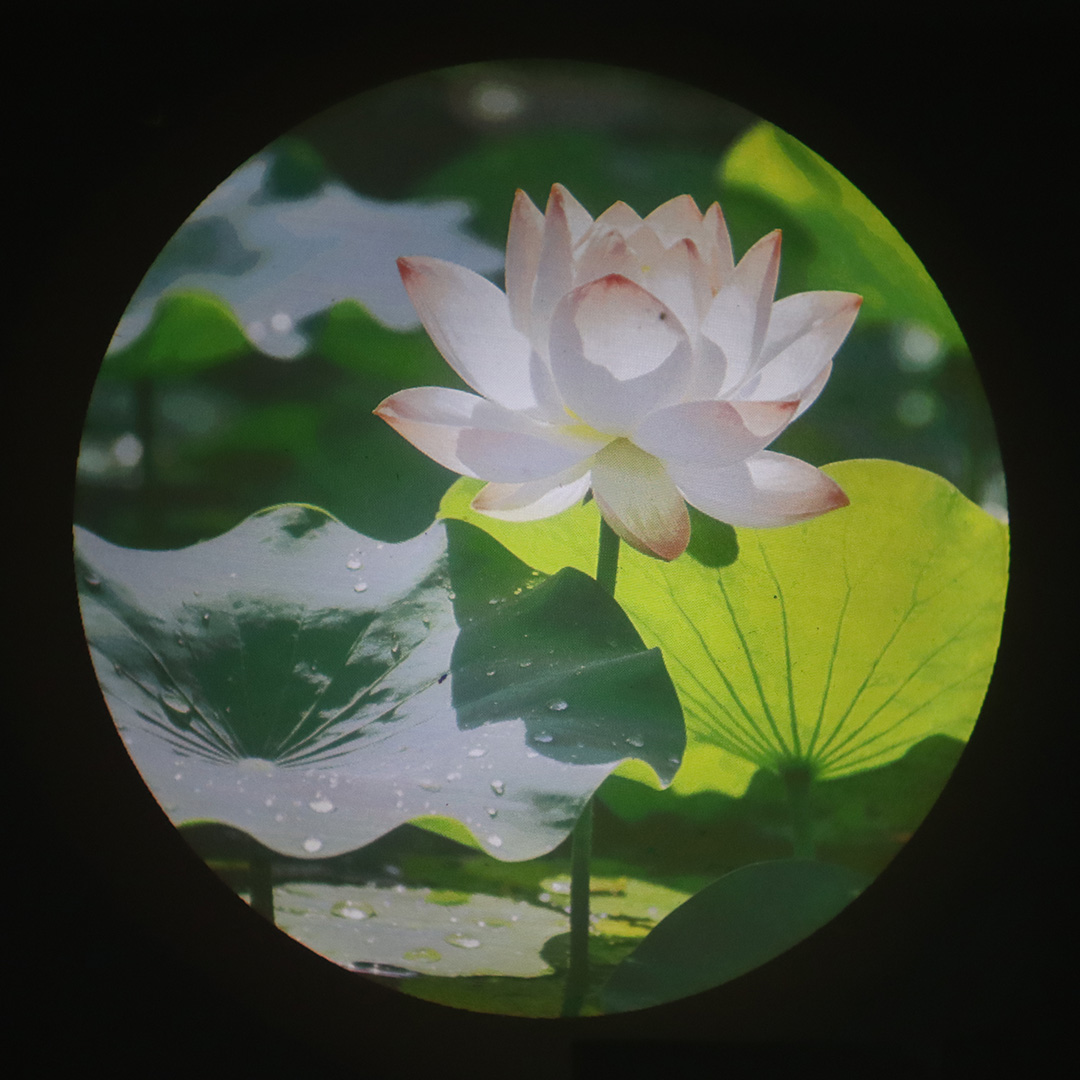 拍摄投影效果-压缩 (1)
